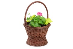 Koš na květiny Flores IV.